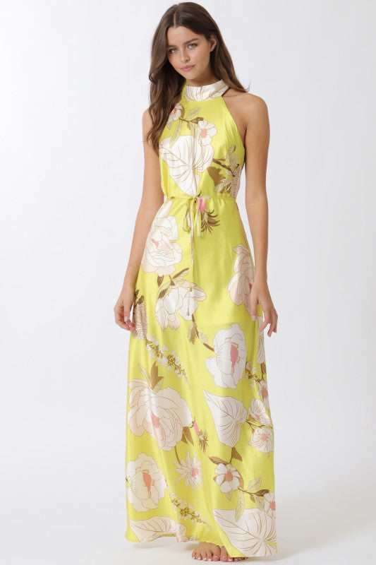 Elegant Long Dress with Fitted Waist and Flowy Silhouette Elegant Long Dress with Fitted Waist and Flowy Silhouette